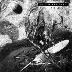 Secrets of the Beehive