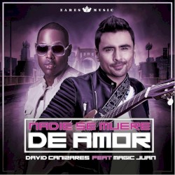 Nadie se muere de amor