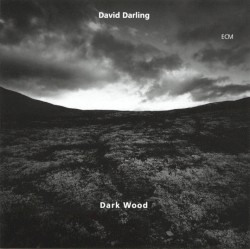 Dark Wood