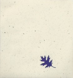 Two Perspectives at Two Locations Along the Sumiyairi River in Naguri‐Mura, Saitama Prefecture, Japan