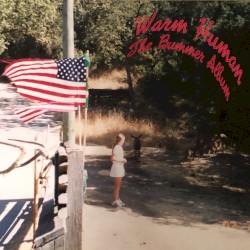 The Bummer Album