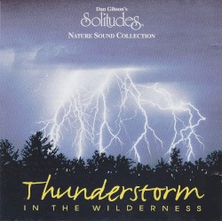 Thunderstorm in the Wilderness