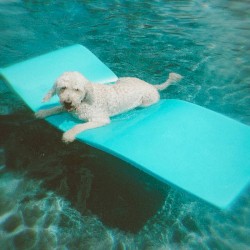 Sailing into the Sun