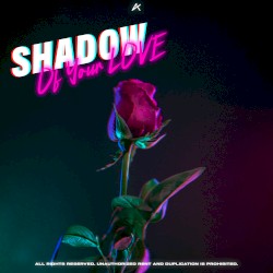 Shadow Of Your Love