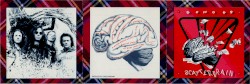 Scatterbrain