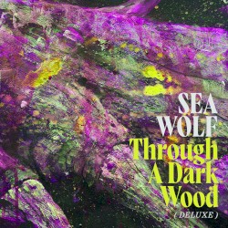 Reflections on a Grey Dawn