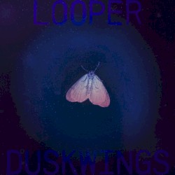 Duskwings