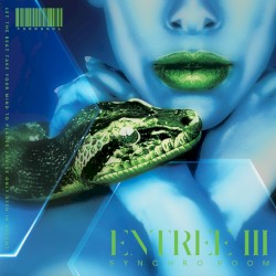 ENTREE III: Synchro Room