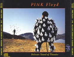 Delicate Sound of Thunder