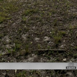 Door Behind the Door