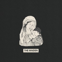 Chrysanthemum / Bangladesh