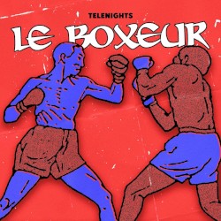 Le Boxeur