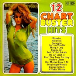 12 Chartbuster Hits