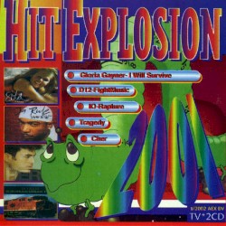 Hit Explosion: 2002, Volume 1