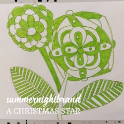 A Christmas Star