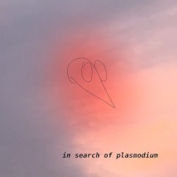 In Search of Plasmodium