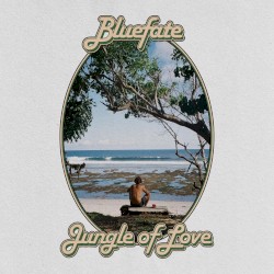 Jungle of Love