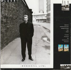 Wonderful Life