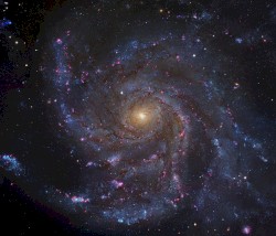 M101