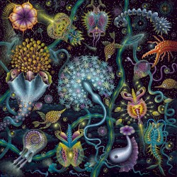 Elementary Particles (2019 Remaster)