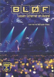 Tussen schemer en avond