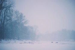 Winter Solitude