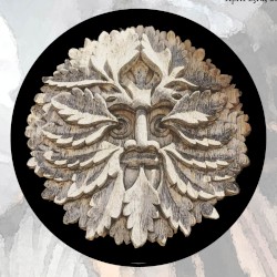 Moonlit Missive #103: 'Bird Raptures'