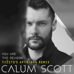 You Are the Reason (Tiësto’s AFTR:HRS remix)