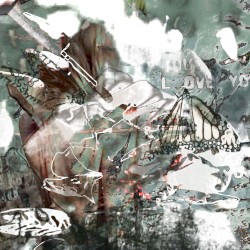 вероятно, не будет＇₍фальстарт₎