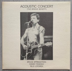 Acoustic Concert: The Bridge Benefit
