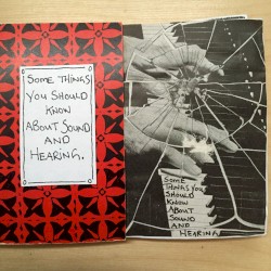 Some Things You Should Know About Sound and Hearing