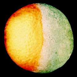 'Mind the Oranges, Marlon!!' OST