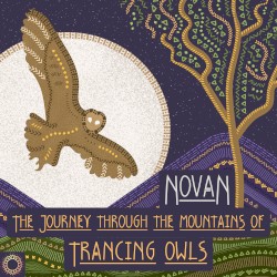 The Journey Through The Mountains Of Trancing Owls