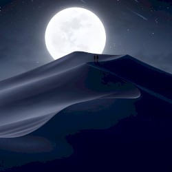 After Dark x Sweater Weather