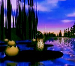 Ａｍｐｈｉｂｉａｎ Ｌｉｆｅ