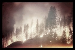 what do you fear the most?