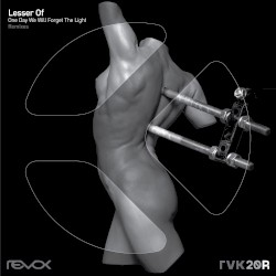 One Day We Will Forget The Light (remixes)