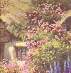 Everyone Goes Home When the Sun Sets