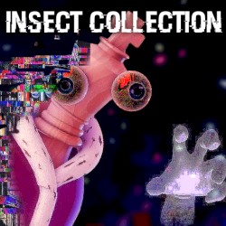 Insect Collection