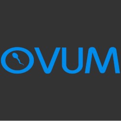 Houze / Summer Nights