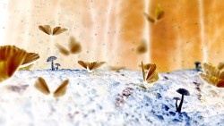 Wings of Flight, Volume 5