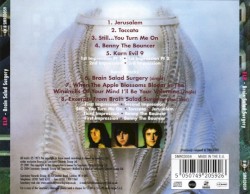 Brain Salad Surgery