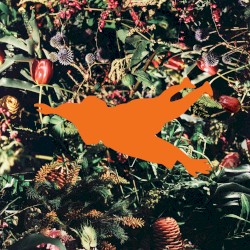 Regrowth Rearranged: Ten Foot Flowers