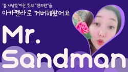 Mr. Sandman