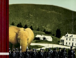 The Elephant Riders