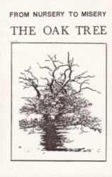 The Oak Tree