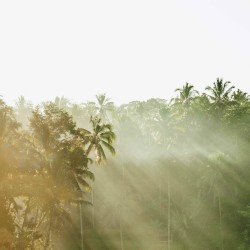 Interlude to Infinity, pt. 1