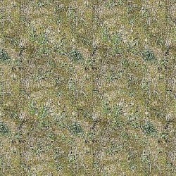 𝓺𝓾𝓪𝓴𝓮 𝓫𝓸𝓸𝓽𝔂