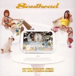 OH MY SISTER (Remix) / I'm just going down