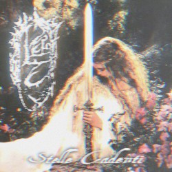 Stelle Cadenti